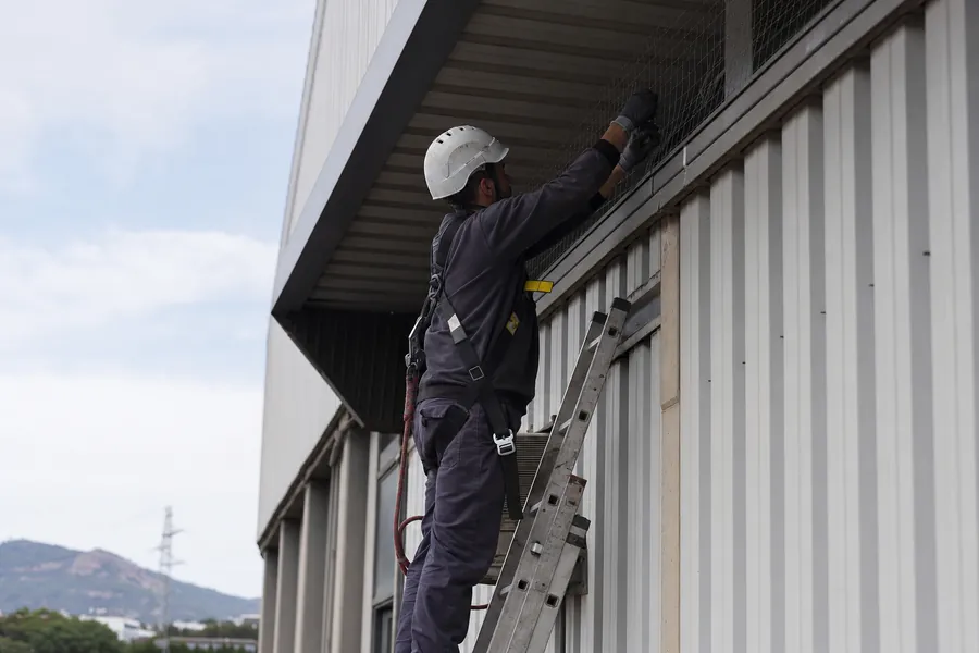 Aplicación profesional certificada — control de plagas en Sant Boi de Llobregat