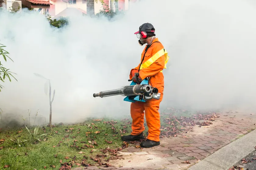 Control del mosquito tigre en Sant Boi de Llobregat — Deratik