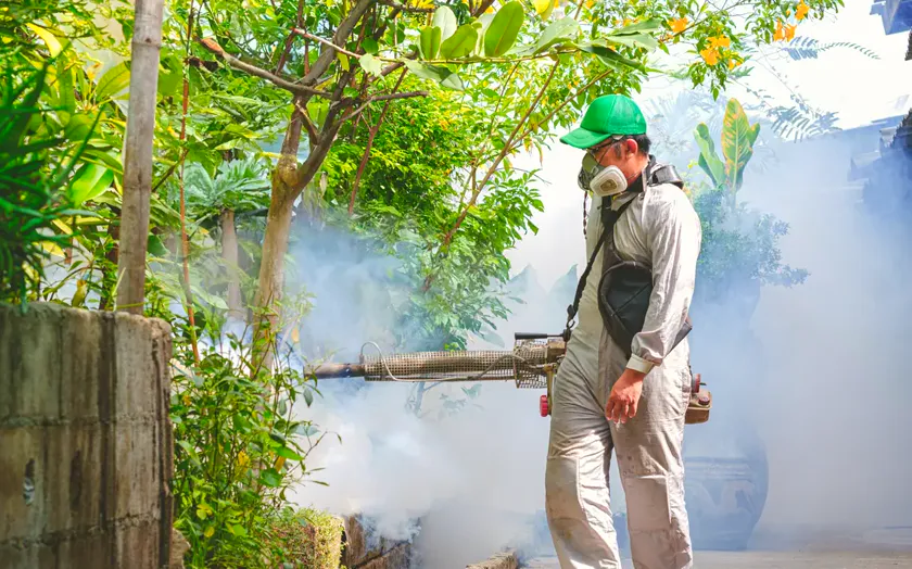 Tratamiento de mosquito tigre en Sant Boi de Llobregat — Deratik