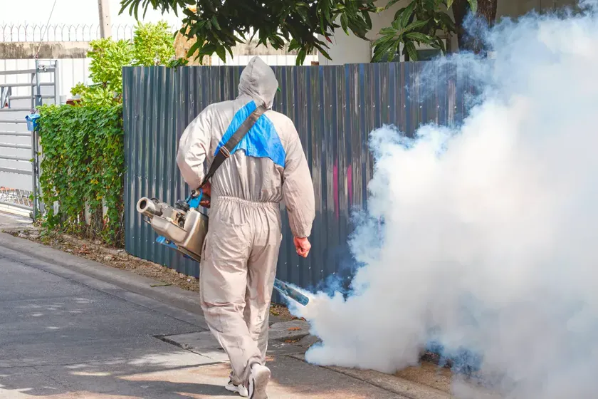 Tratamiento de mosquitos en Sant Boi de Llobregat — Deratik